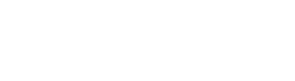 Dr. Carlos Boyzo Geriatría